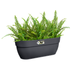 vibia campana easy hanger large anthracite